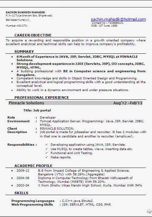 Resume format for experienced software programmer